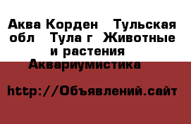 Аква Корден - Тульская обл., Тула г. Животные и растения » Аквариумистика   